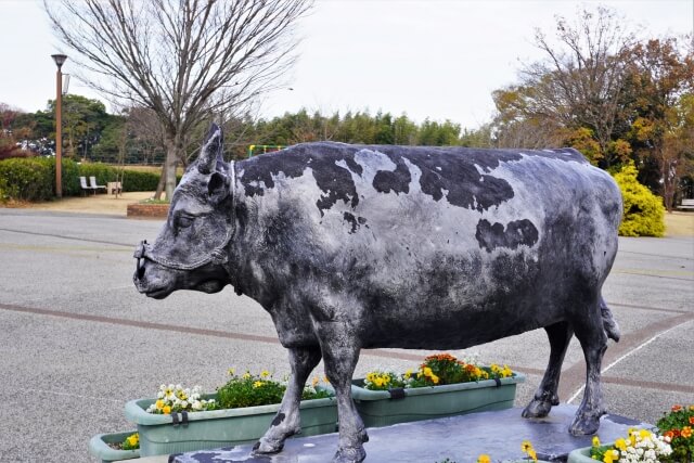 お肉の通販におすすめな松阪牛で彩る自粛生活